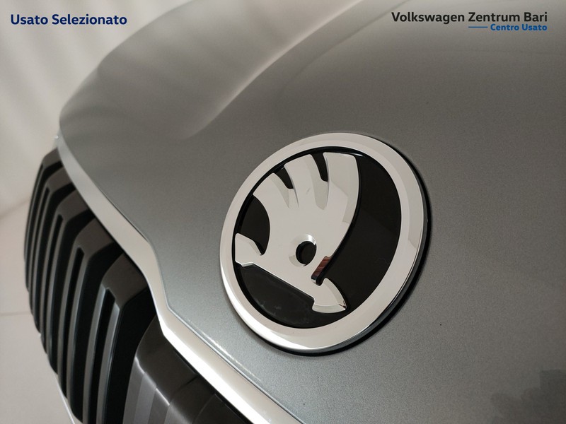 Skoda Karoq 1.6 tdi ambition dsg - 27