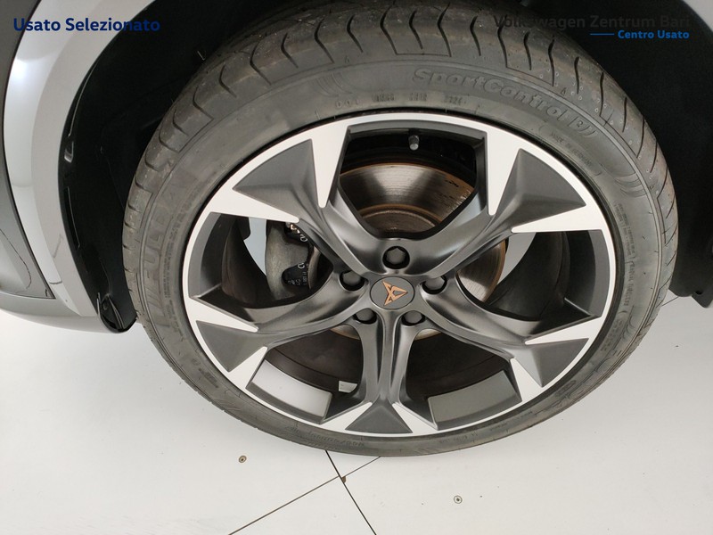 Cupra Formentor 2.0 tdi 4drive 150cv dsg - 17