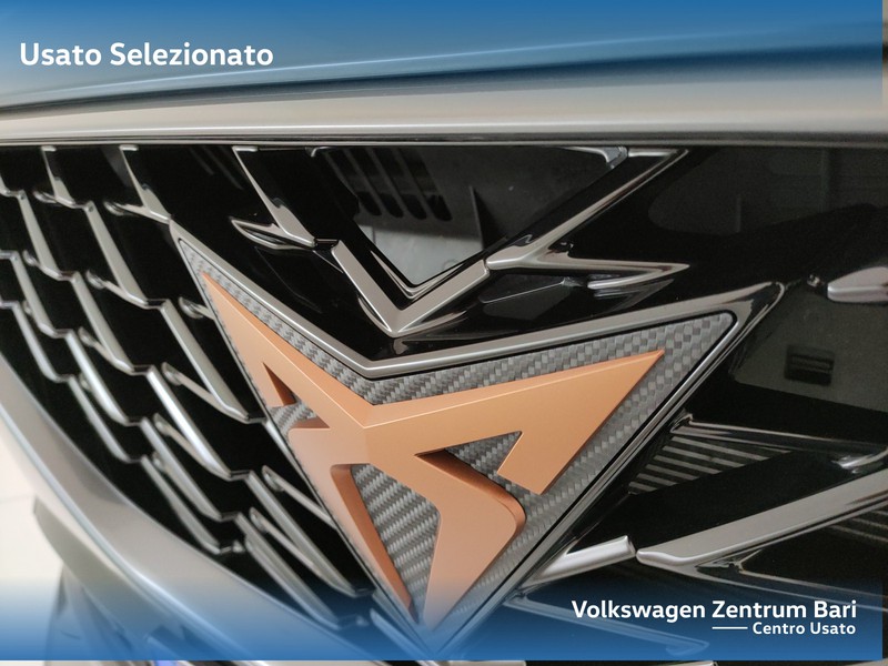 Cupra Formentor 2.0 tdi 4drive 150cv dsg - 28