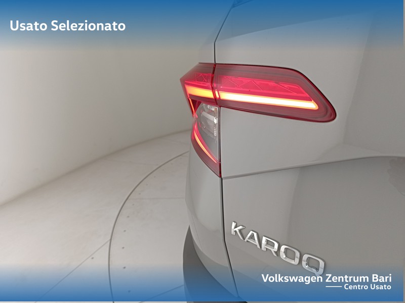 Skoda Karoq 2.0 tdi evo ambition 115cv dsg - 17