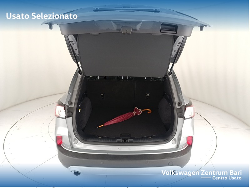 Ford Kuga 1.5 ecoblue titanium business 2wd 120cv auto - 21