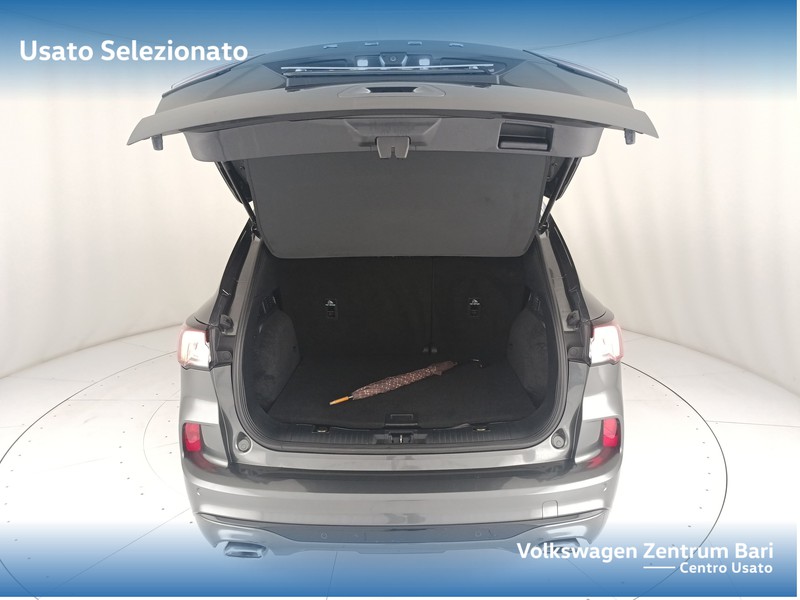 Ford Kuga 1.5 ecoblue st-line 2wd 120cv auto - 20