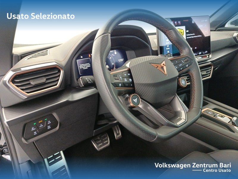 Cupra Formentor 2.0 tdi 150cv dsg - 14