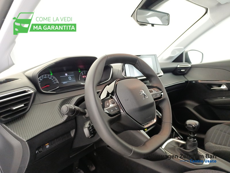 Peugeot 208 1.5 bluehdi active s&s 100cv - 14