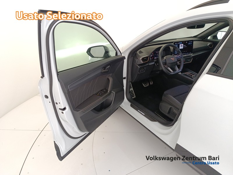 Cupra Formentor 2.0 tdi 150cv dsg - 12