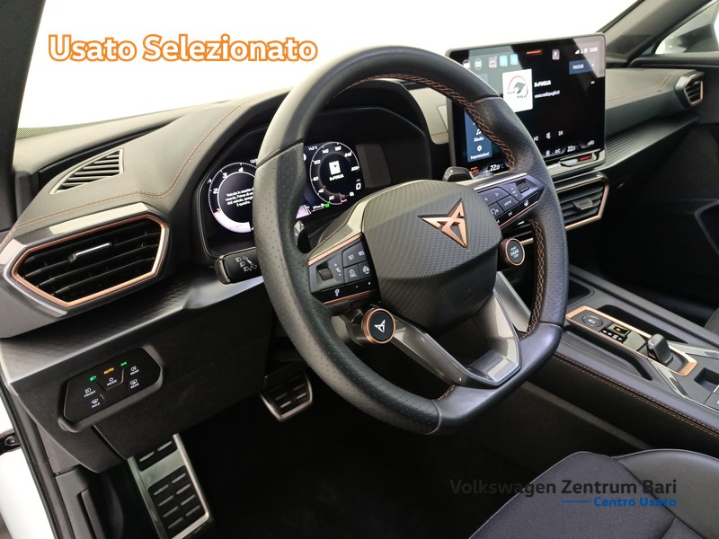 Cupra Formentor 2.0 tdi 150cv dsg - 14