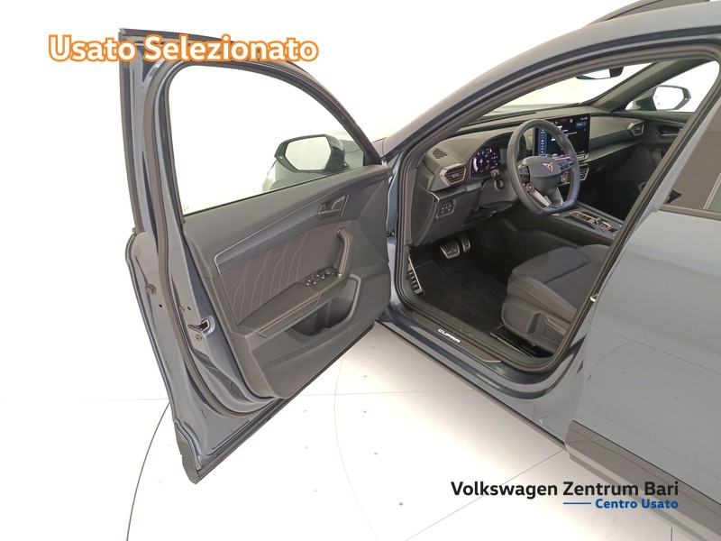 Cupra Formentor 2.0 tdi 150cv dsg - 12