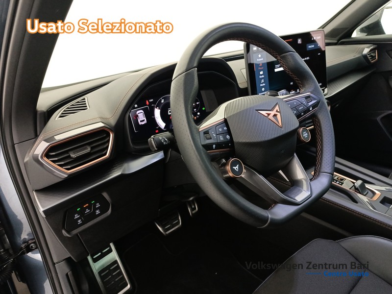 Cupra Formentor 2.0 tdi 150cv dsg - 14