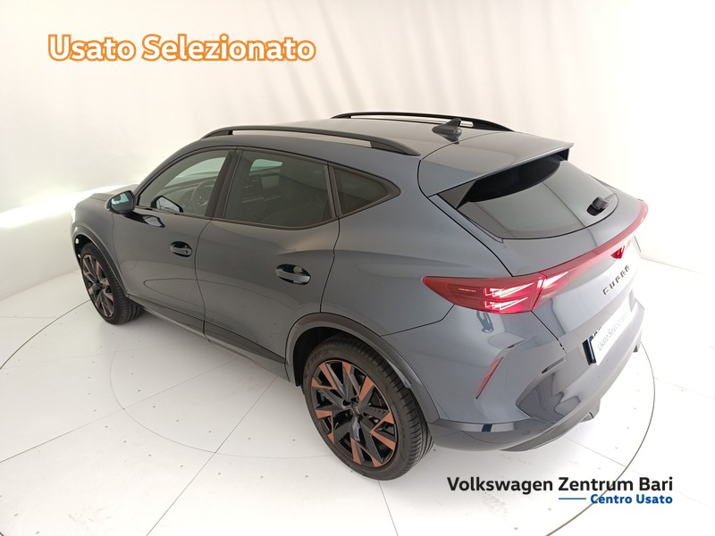 Cupra Formentor 2.0 tdi 150cv dsg - 15