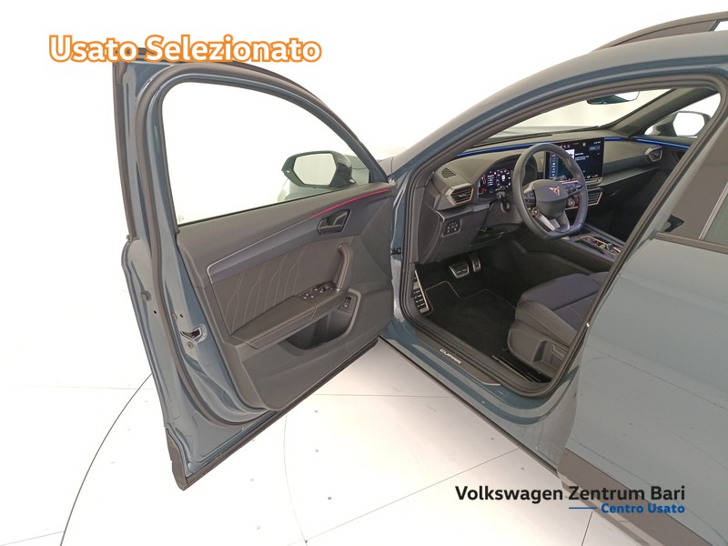 Cupra Formentor 2.0 tdi 150cv dsg - 11