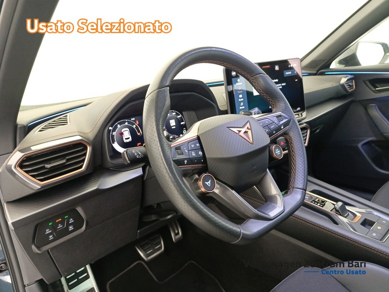 Cupra Formentor 2.0 tdi 150cv dsg - 13