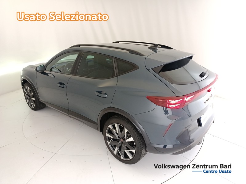 Cupra Formentor 2.0 tdi 150cv dsg - 14