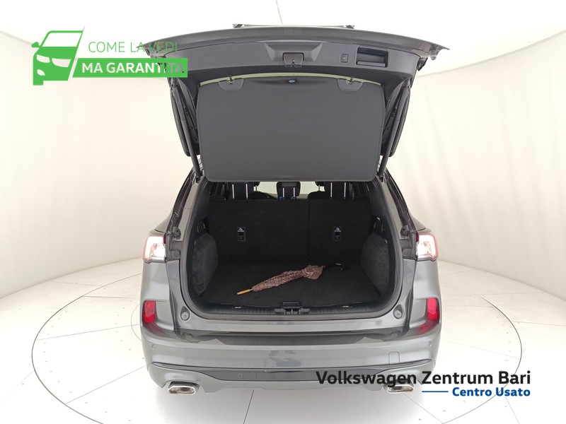 Ford Kuga 2.0 ecoblue st-line 2wd 120cv auto - 20