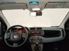 Fiat Panda 1.0 firefly hybrid city life s&s 70cv