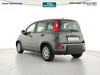 Fiat Panda 1.0 firefly hybrid city life s&s 70cv 5p.ti