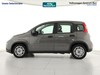 Fiat Panda 1.0 firefly hybrid city life s&s 70cv 5p.ti