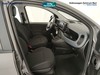 Fiat Panda 1.0 firefly hybrid city life s&s 70cv 5p.ti