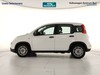 Fiat Panda 1.0 firefly hybrid city life s&s 70cv 5p.ti