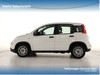 Fiat Panda 1.0 firefly hybrid s&s 70cv 5p.ti