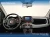 Fiat Panda 1.0 firefly hybrid s&s 70cv 5p.ti