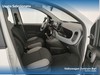 Fiat Panda 1.0 firefly hybrid s&s 70cv 5p.ti