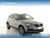 Skoda Karoq 2.0 tdi evo ambition 115cv dsg