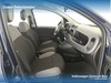 Fiat Panda 1.0 firefly hybrid s&s 70cv