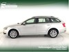 Skoda Octavia wagon 1.6 tdi executive 115cv dsg