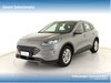 Ford Kuga 1.5 ecoblue titanium business 2wd 120cv auto