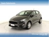 Ford Fiesta 5p 1.0 ecoboost business s&s 100cv