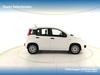 Fiat Panda 1.0 firefly hybrid s&s 70cv 5p.ti