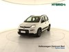 Fiat Panda 1.0 firefly hybrid city life s&s 70cv 5p.ti