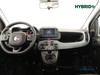 Fiat Panda 1.0 firefly hybrid city life s&s 70cv 5p.ti