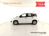 Fiat Panda 1.0 firefly hybrid s&s 70cv 5p.ti