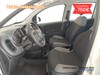 Fiat Panda 1.0 firefly hybrid s&s 70cv 5p.ti